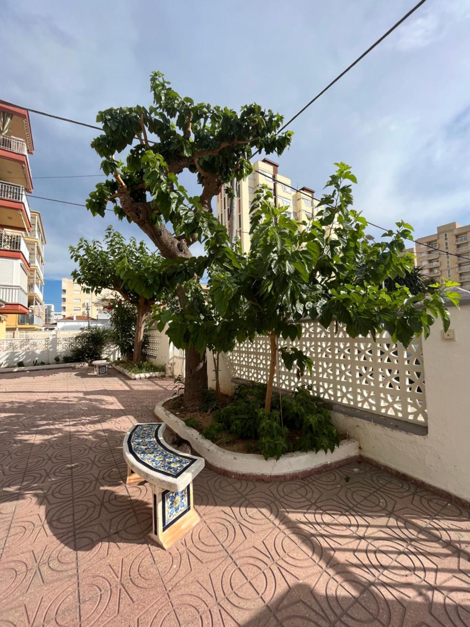 Apartment Rincon De Maria- Segunda Linea De Playa-ganador Traveller Awards 2025 Playa de Gandia