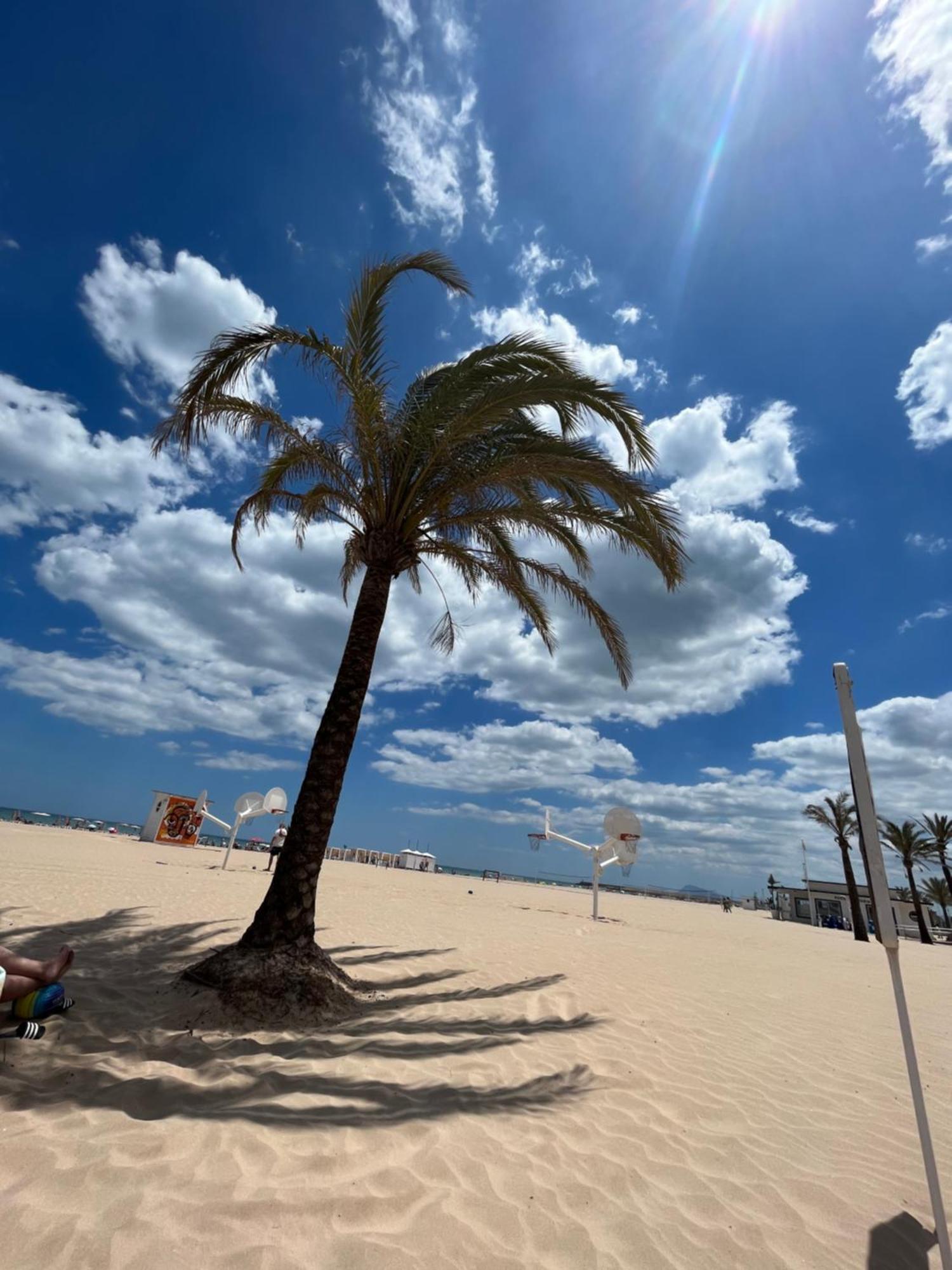 Rincon De Maria- Segunda Linea De Playa-ganador Traveller Awards 2025 *